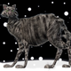Illustration for article titled The Ultimate Guide to Evil Cats in Science Fiction and Fantasy
